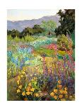 Garden Path-Ellie Freudenstein-Stretched Canvas