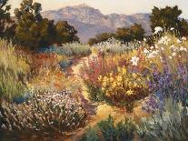 Garden Path-Ellie Freudenstein-Stretched Canvas