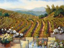 Vineyards to Vaca Mountains-Ellie Freudenstein-Art Print