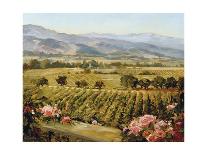 Vineyards to Mount St. Helena-Ellie Freudenstein-Art Print