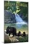 Ellijay, Georgia - Bear Family and Waterfall-Lantern Press-Mounted Art Print