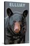 Ellijay, Georgia - Black Bear Up Close-Lantern Press-Stretched Canvas