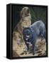 Elliot and Gus-Durwood Coffey-Framed Stretched Canvas