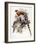 Elliot's Pheasant, 1865-null-Framed Giclee Print