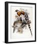 Elliot's Pheasant, 1865-null-Framed Giclee Print