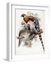 Elliot's Pheasant, 1865-null-Framed Giclee Print