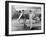 Elliott Gould, Donald Sutherland, Mash, 1970-null-Framed Photographic Print