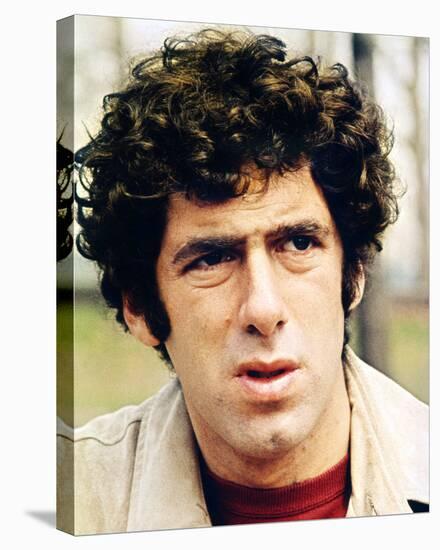 Elliott Gould-null-Stretched Canvas