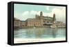 Ellis Island Immigration Depot, New York City-null-Framed Stretched Canvas