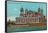 Ellis Island, New York Harbor-null-Framed Stretched Canvas