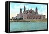 Ellis Island, New York Harbor-null-Framed Stretched Canvas