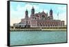 Ellis Island, New York Harbor-null-Framed Stretched Canvas