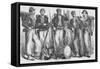 Ellsworth's Chicago Zouaves-Frank Leslie-Framed Stretched Canvas