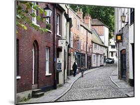 Elm Hill, Norwich, Norfolk, England, United Kingdom, Europe-Mark Sunderland-Mounted Photographic Print