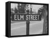 Elm Street Sign-Ralph Morse-Framed Stretched Canvas