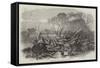 Elm-Tree Blown Down in Hyde Park, 7 May 1856-null-Framed Stretched Canvas