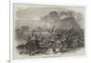 Elm-Tree Blown Down in Hyde Park, 7 May 1856-null-Framed Giclee Print