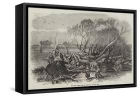 Elm-Tree Blown Down in Hyde Park, 7 May 1856-null-Framed Stretched Canvas