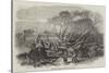 Elm-Tree Blown Down in Hyde Park, 7 May 1856-null-Stretched Canvas