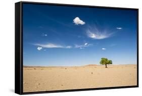 Elm Tree (Ulmus) in Gobi Desert, South Mongolia-Inaki Relanzon-Framed Stretched Canvas