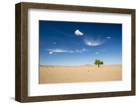 Elm Tree (Ulmus) in Gobi Desert, South Mongolia-Inaki Relanzon-Framed Photographic Print