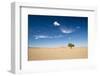 Elm Tree (Ulmus) in Gobi Desert, South Mongolia-Inaki Relanzon-Framed Photographic Print