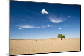 Elm Tree (Ulmus) in Gobi Desert, South Mongolia-Inaki Relanzon-Mounted Photographic Print