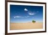 Elm Tree (Ulmus) in Gobi Desert, South Mongolia-Inaki Relanzon-Framed Photographic Print