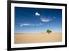 Elm Tree (Ulmus) in Gobi Desert, South Mongolia-Inaki Relanzon-Framed Photographic Print