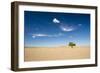 Elm Tree (Ulmus) in Gobi Desert, South Mongolia-Inaki Relanzon-Framed Photographic Print