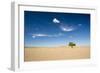 Elm Tree (Ulmus) in Gobi Desert, South Mongolia-Inaki Relanzon-Framed Photographic Print