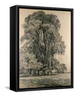 Elm Trees in Old Hall Park, East Bergholt, 1817-John Constable-Framed Stretched Canvas
