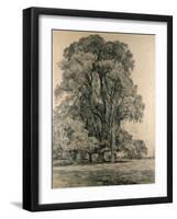 Elm Trees in Old Hall Park, East Bergholt, 1817-John Constable-Framed Giclee Print