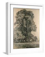 Elm Trees in Old Hall Park, East Bergholt, 1817-John Constable-Framed Giclee Print