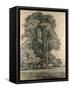 Elm Trees in Old Hall Park, East Bergholt, 1817-John Constable-Framed Stretched Canvas