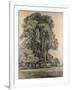 Elm Trees in Old Hall Park, East Bergholt, 1817-John Constable-Framed Giclee Print