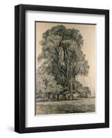 Elm Trees in Old Hall Park, East Bergholt, 1817-John Constable-Framed Premium Giclee Print