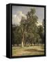 Elm Trees in Prater, 1831-Ferdinand Georg Waldmuller-Framed Stretched Canvas