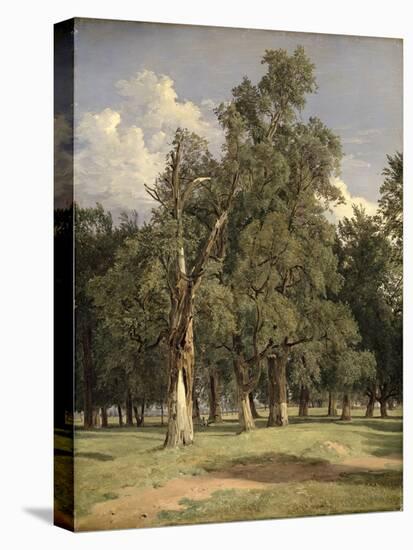 Elm Trees in Prater, 1831-Ferdinand Georg Waldmuller-Stretched Canvas