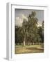 Elm Trees in Prater, 1831-Ferdinand Georg Waldmuller-Framed Giclee Print