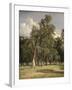 Elm Trees in Prater, 1831-Ferdinand Georg Waldmuller-Framed Giclee Print