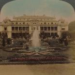 'Toddy palms 100 ft. tall, Pagan, Burma', 1907-Elmer Underwood-Photographic Print