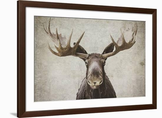 Elmer-Natasia Cook-Framed Art Print