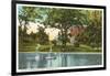 Elmwood Park, Roanoke, Virginia-null-Framed Art Print