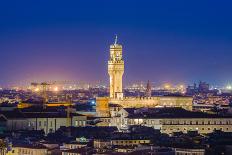 Night View of Florence in Italy-Elnur-Photographic Print