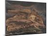 Elohim Creating Adam-William Blake-Mounted Giclee Print