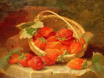 Strawberries in a Wicker Basket on a Ledge, 1895-Eloise Harriet Stannard-Giclee Print