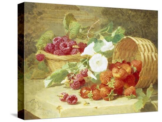 Stretched Canvas Print, , large