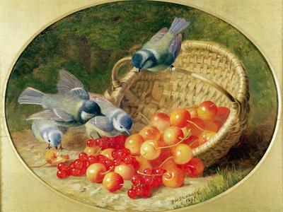 Bluetits Pecking at Cherries, 1897