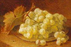 Still Life with Raspberries and a Bunch of Grapes on a Marble Ledge, 1882-Eloise Harriet Stannard-Giclee Print